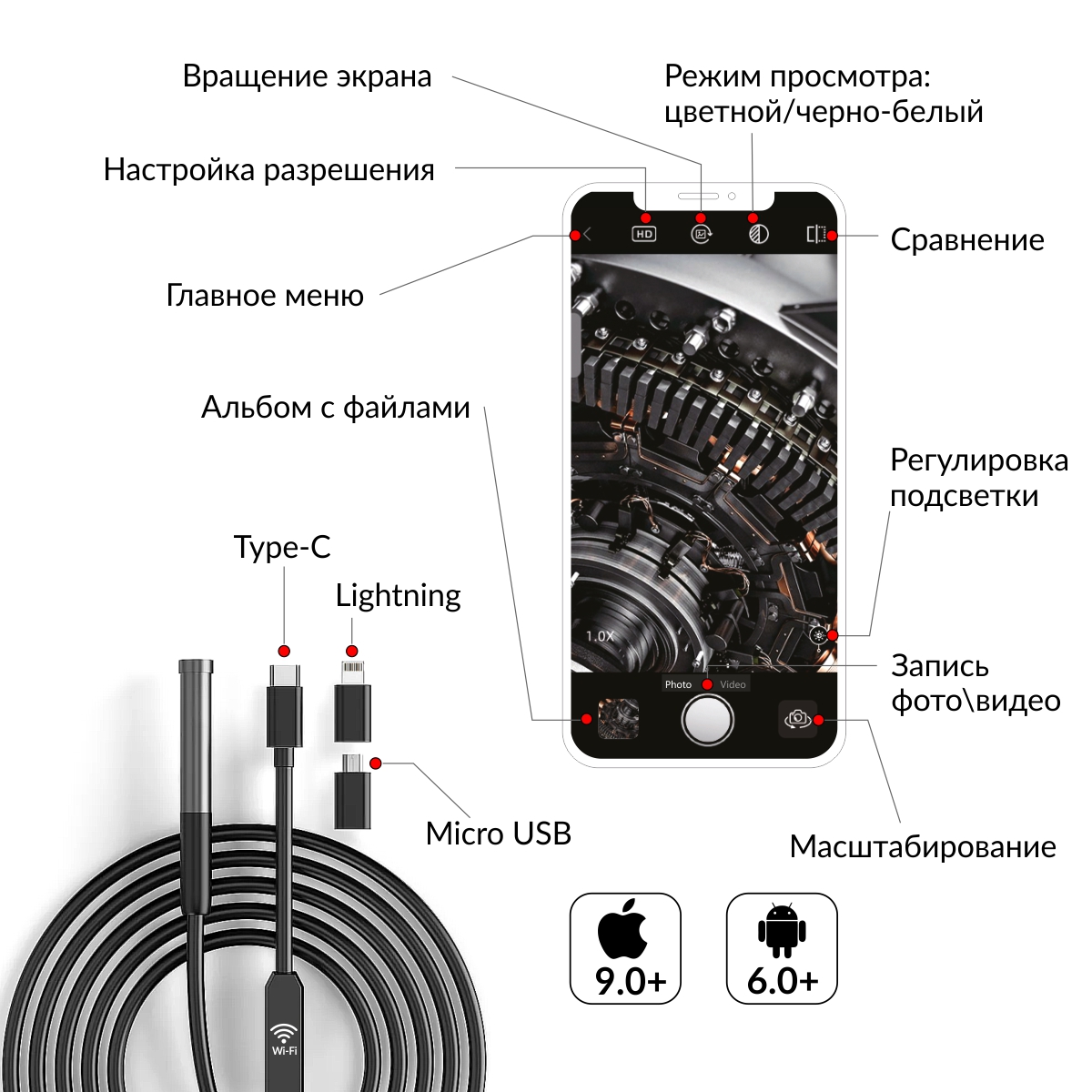 IC-V113_122.jpg