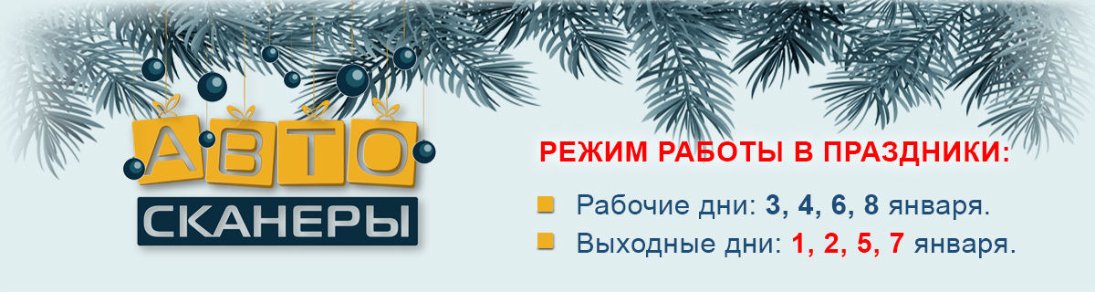 Расписание работы гипермаркета товаров для автосервиса Автосканеры.RU в период празднования Нового 2020 года