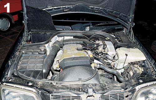 mercedes_diagnostics_1[1].jpg