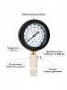 CT-1351 Бензиновый компрессометр Car-Tool CT-1351 - 1